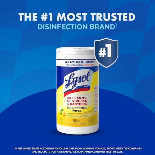 Lysol Disinfectant Wipes, Multi-Surface Antibacterial Cleaning Wipes, For Disinfecting and Cleaning, Lemon and Lime Blossom, 80 Count (Pack of 3)